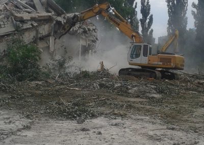 Demolare Timisoara